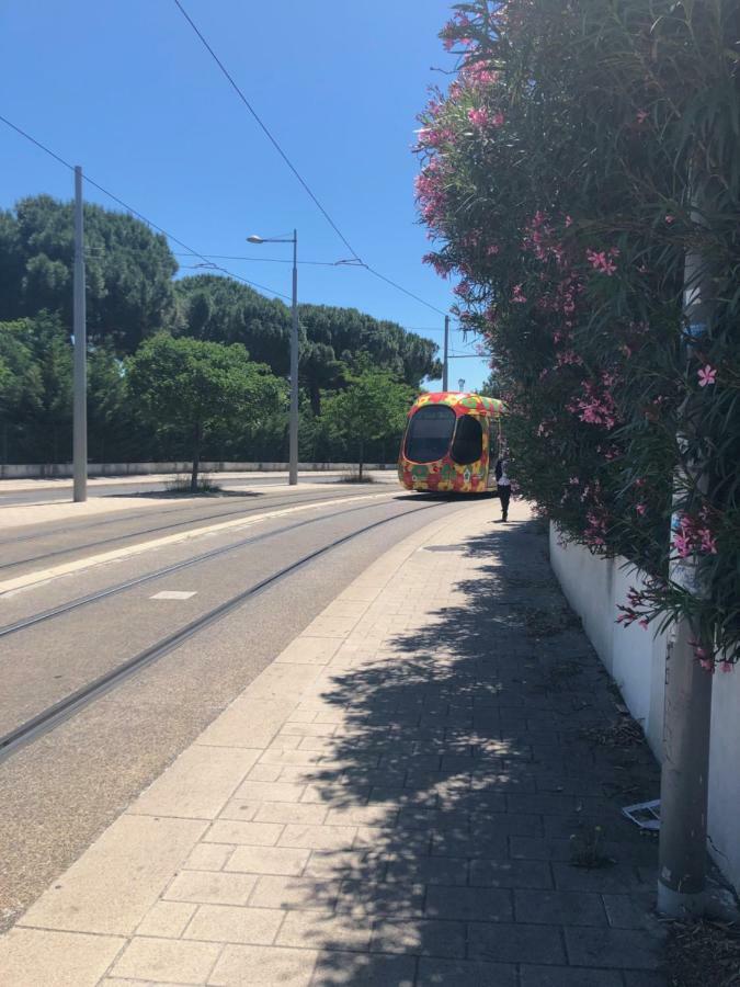 Appartement Mimosa, tram 2, parking Montpellier Bagian luar foto